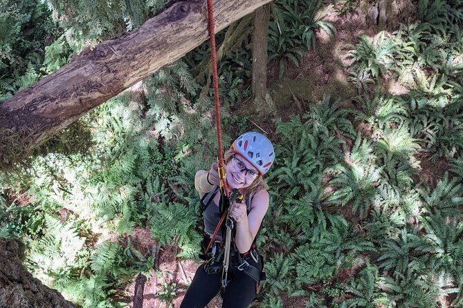old-growth-tree-climbing-at-silver-falls-state-park