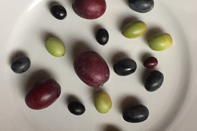 olive-oil-private-full-day-tour-with-tasting-in-valencia