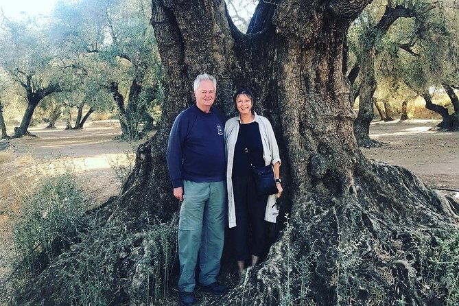 olive-oil-tour-and-visit-to-belchite-old-town-2