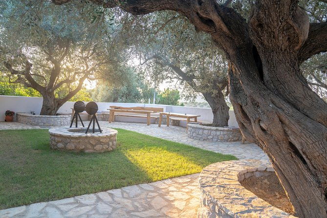 olive-tour-tasting-3