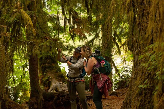 olympic-full-day-private-tour-and-hike