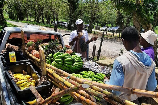 omars-black-river-safari-ys-falls-tour-from-montego-bay
