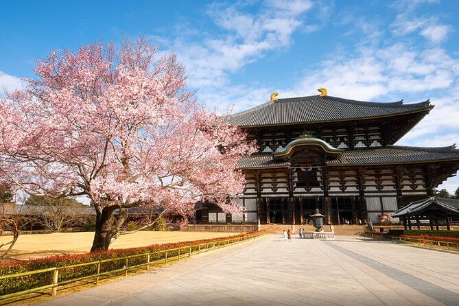 one-day-customized-self-guided-tour-in-nara