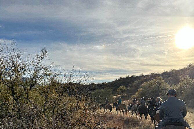 one-hour-guided-horseback-ride