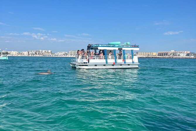 one-hour-harbor-shared-tour-with-dolphin-watching