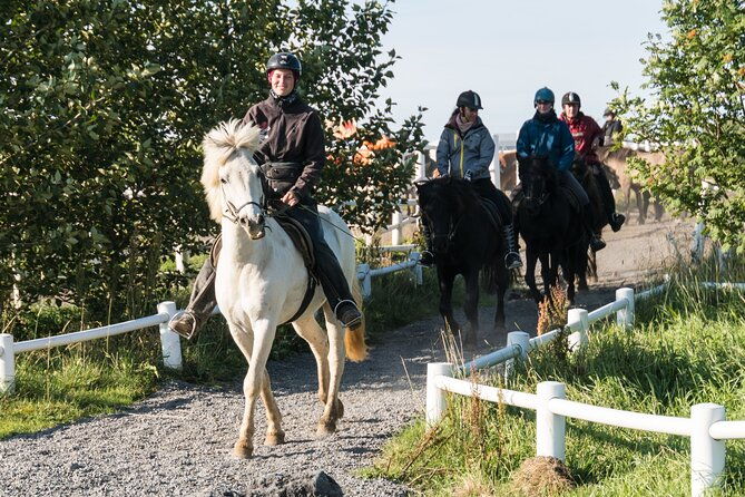 one-hour-horseback-riding-tour-in-the-icelandic-countryside-3