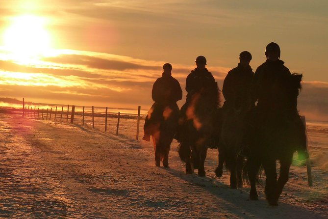 one-hour-horseback-riding-tour-in-the-icelandic-countryside-4