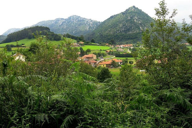 one-week-spanish-course-at-your-tutors-home-in-the-north-of-spain-2