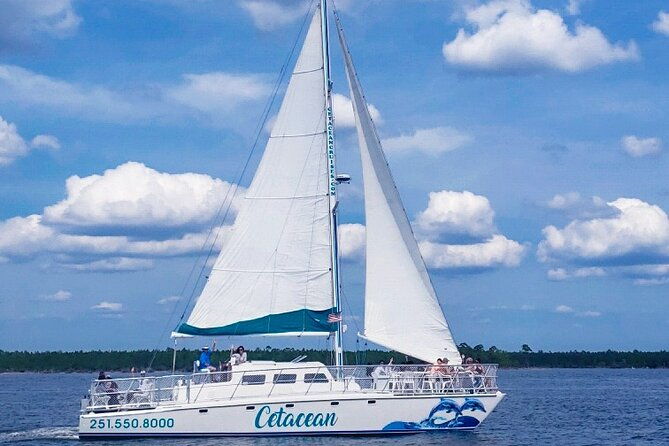 orange-beach-dolphin-sailing-cruise-aboard-catamaran