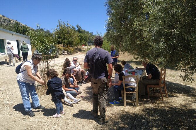 organic-iberian-ham-farm-visit-and-premium-tasting