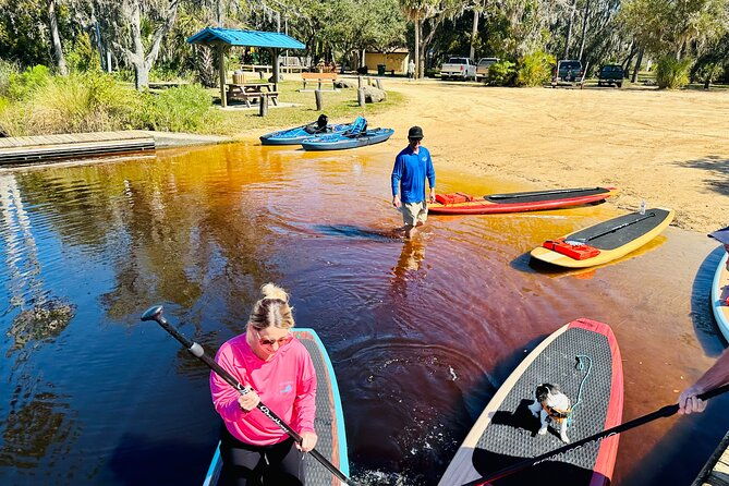ormond-beach-manatee-and-nature-tour-kayaking-or-paddle-boarding-2