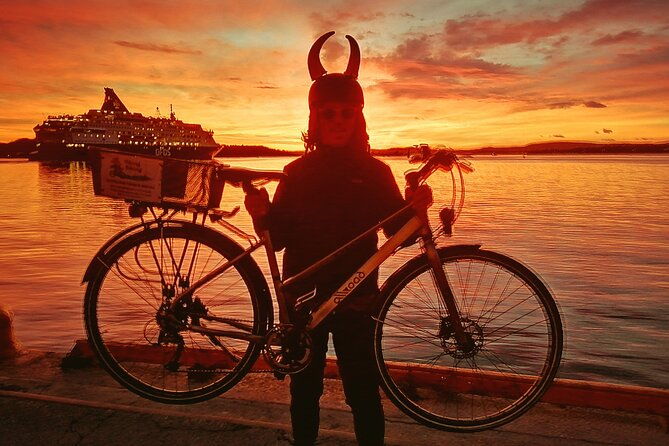 oslo-winter-highlights-bike-tour