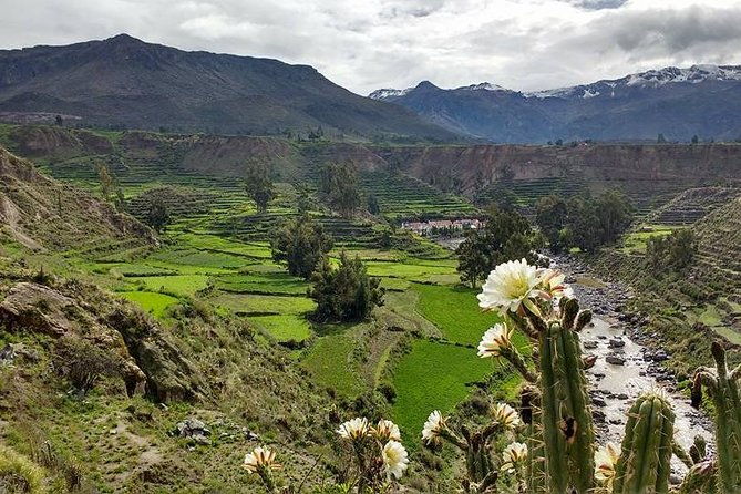 overnight-tour-colca-canyon-including-horse-riding-from-arequipa