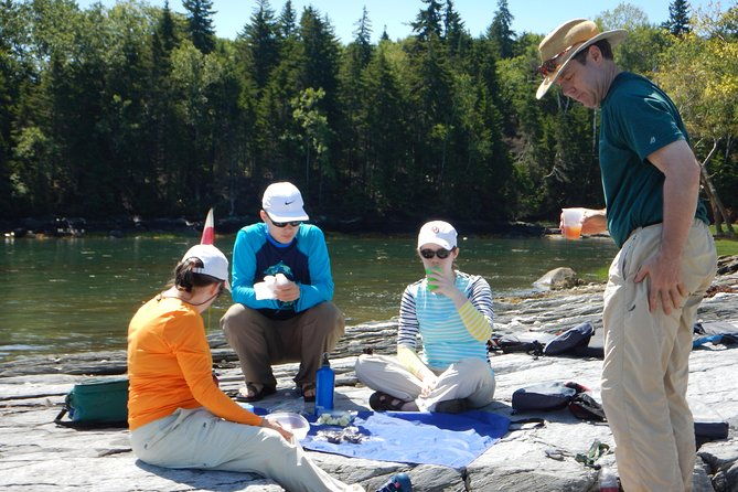 oyster-farm-complimentary-tasting-sea-kayak-tour-in-casco-bay-2