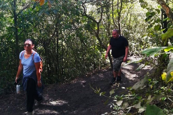 pacaya-volcano-tour-and-hot-springs-from-guatemala-city