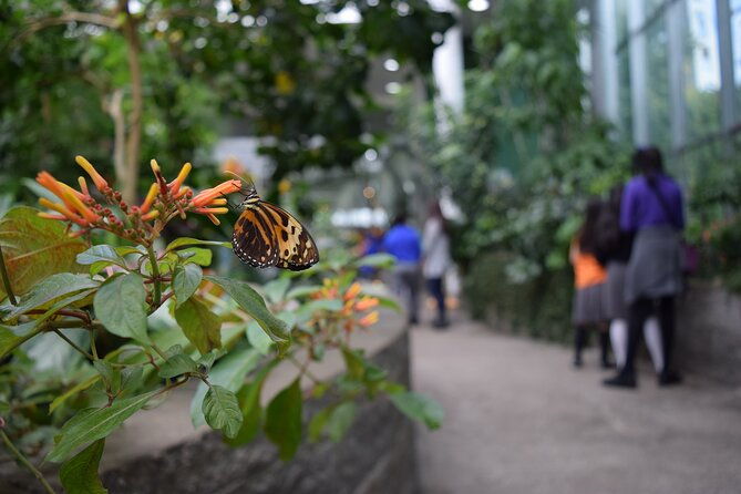 pacific-science-center-general-exhibit-admission
