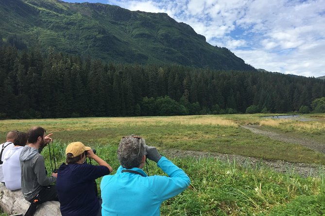 pack-creek-brown-bear-viewing-juneau