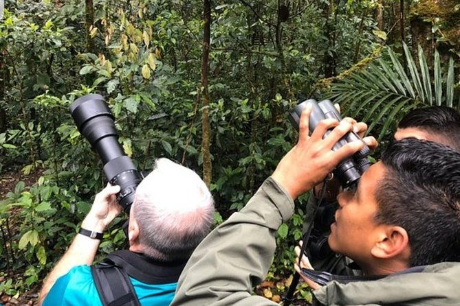 package-monteverde-cloud-forest-curi-cancha-reserve-night-hike-private