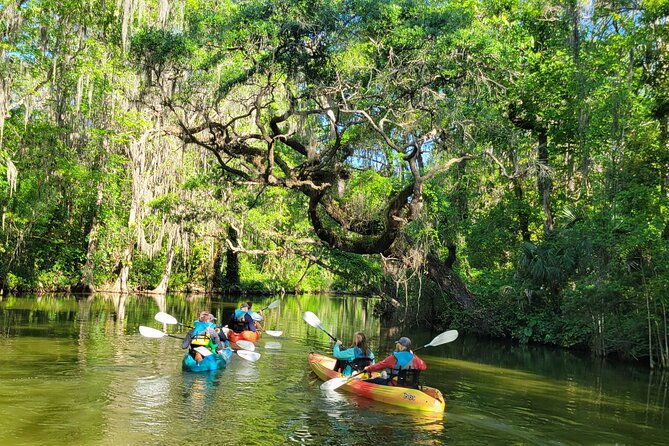 paddle-and-brew-adventure-in-tavares-with-beer-flight-tasting