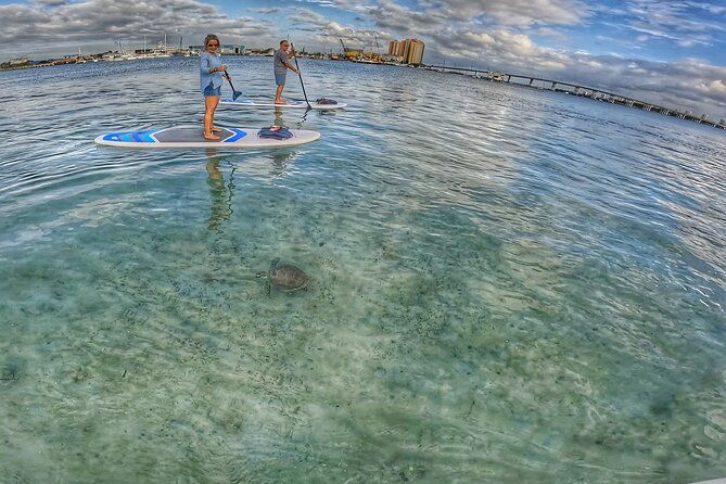 paddle-boarding-activity-to-peanut-island