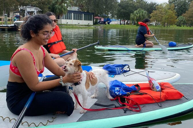paddle-with-pups-in-paradise-paddleboard-or-kayak