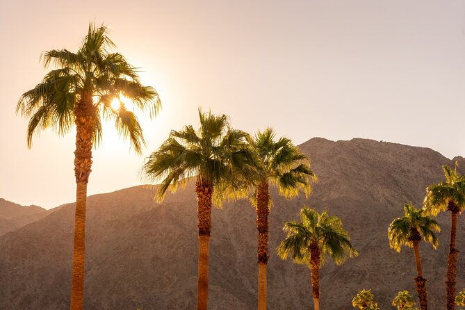 palm-springs-and-joshua-tree-self-guided-driving-audio-tours