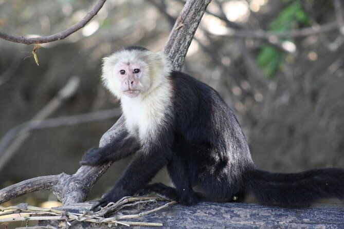 palo-verde-national-park-safari-boat-tour