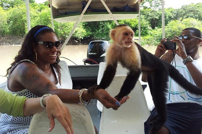 palo-verde-wildlife-tour-from-playa-hermosa-coco-beach