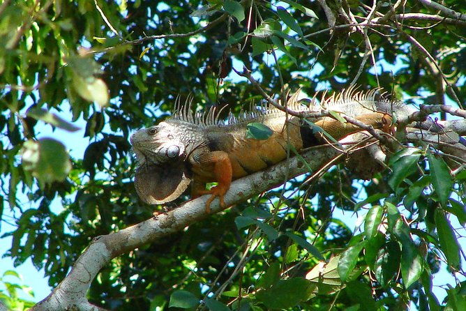 panama-city-metropolitan-park-trail-tour