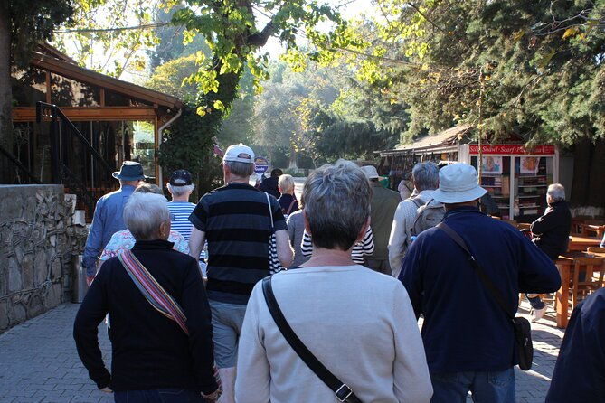 panaromic-ephesus-and-surroundings-small-group-private-tour