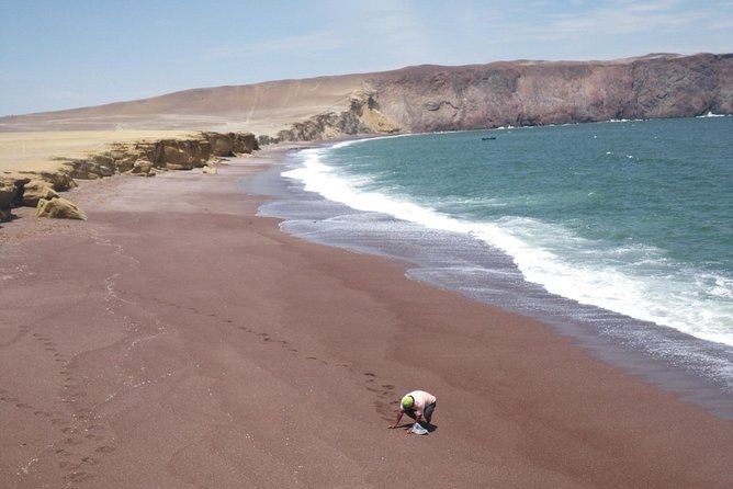 paracas-fullday-ballestas-islands-and-national-park-in-minibuggy