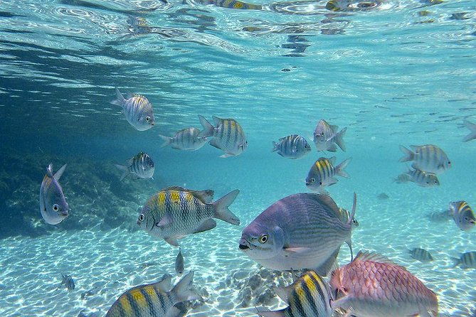 paradise-taxi-tours-usvi-st-thomas-airport-transfer-sapphire-crystal-cove