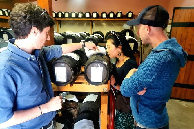 parmigiano-wine-and-balsamic-vinegar-experience-from-bologna