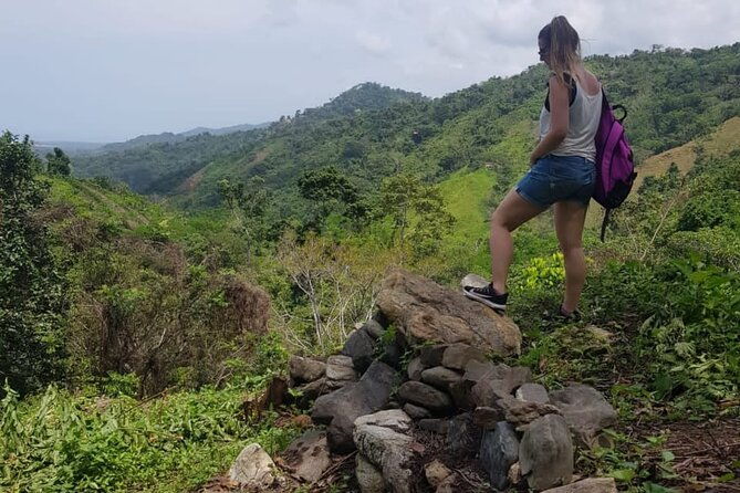 passion-fruit-and-el-saltillo-waterfall-tour