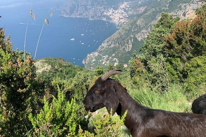 path-of-the-gods-hike