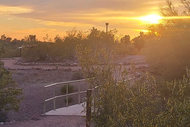 peaceful-morning-walk-guided-journey-through-the-sonoran-desert