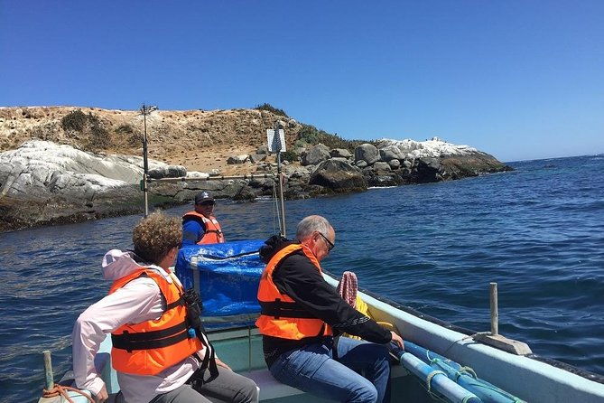 penguins-watching-navigation-horseride-barbecue-from-santiago