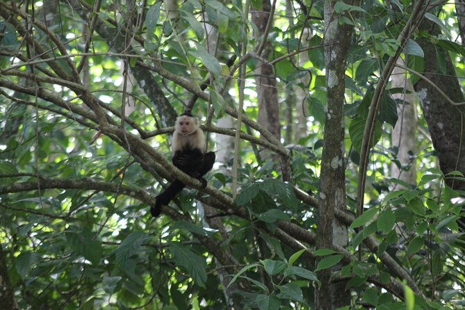 personalized-private-tour-experience-costa-rica