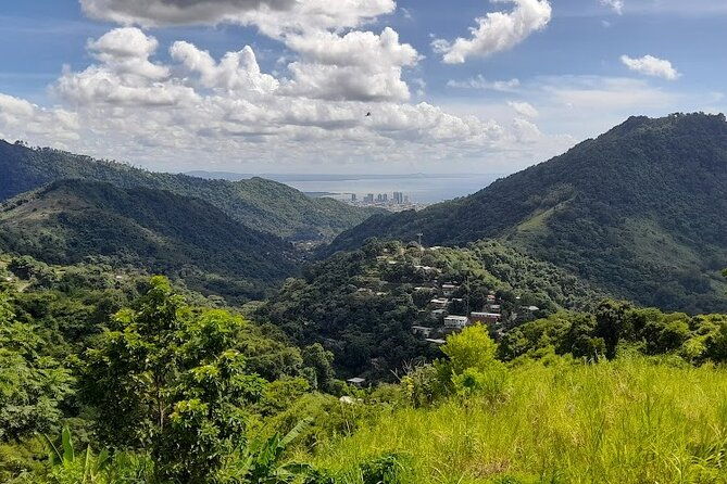 personalized-private-tour-the-paramin-hills