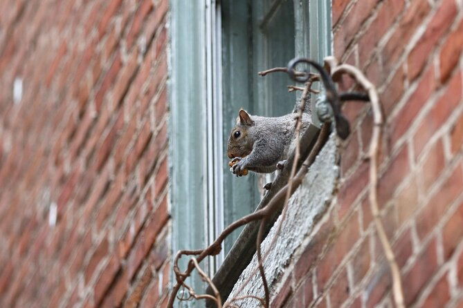 philadelphia-walking-tour-a-lot-of-colonial-nonsense