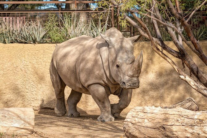 phoenix-zoo-admission-ticket-2