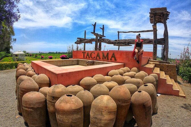 pisco-route-la-caravedo-tacama-and-nietto-vineyard