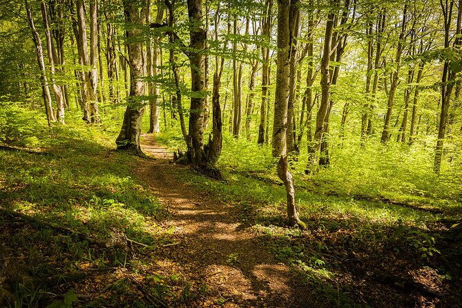 plitvice-lakes-tour-from-split-with-entrance-ticket-included