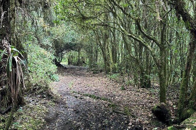 poas-volcano-national-park-tour-and-bird-watching-in-costa-rica