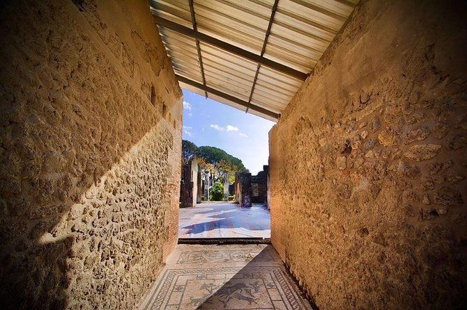 pompeii-visit-with-food-and-wine-tasting-near-mt-vesuvius