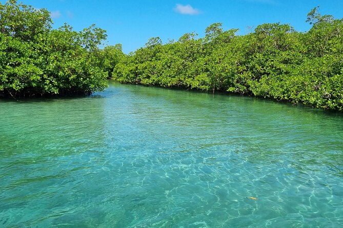 portobelo-history-beach-private-tour-in-colon-panama