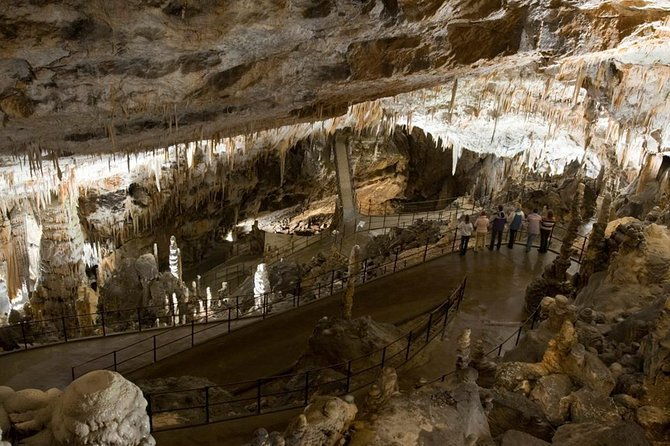 postojna-cave-with-train-ride-and-predjama-castle-half-day-trip-from-ljubljana