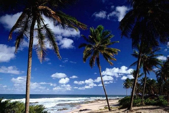praia-do-forte-guarajuba-beach-day-trip