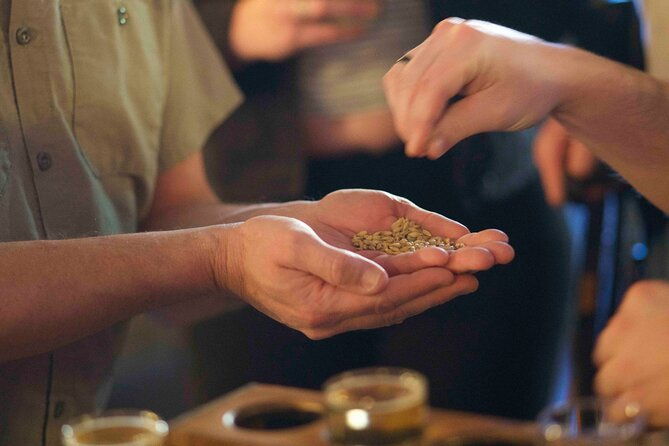 premier-walking-guided-brewery-tour-through-downtown-asheville