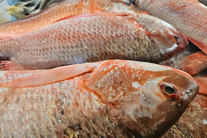 premium-foodie-tour-in-panama-casco-viejo